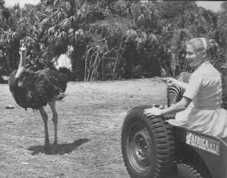 Visitors riding the Safari Jeep Tram past animals at Africa U.S.A. in Boca Raton, Florida