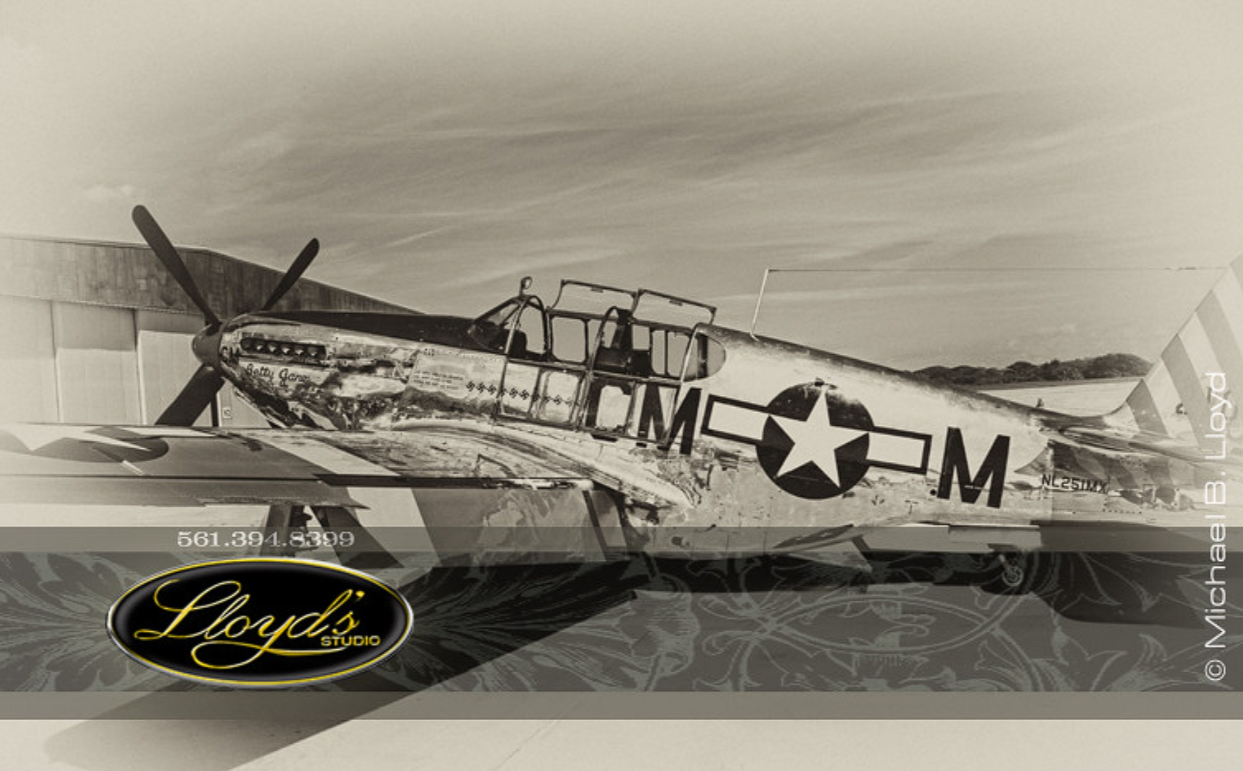 Sepia-toned photograph of the Red Tail P-51 Mustang Betty Jane by Michael B. Lloyd