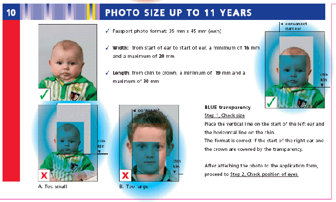 Netherlands (Holland) passport photo specification
