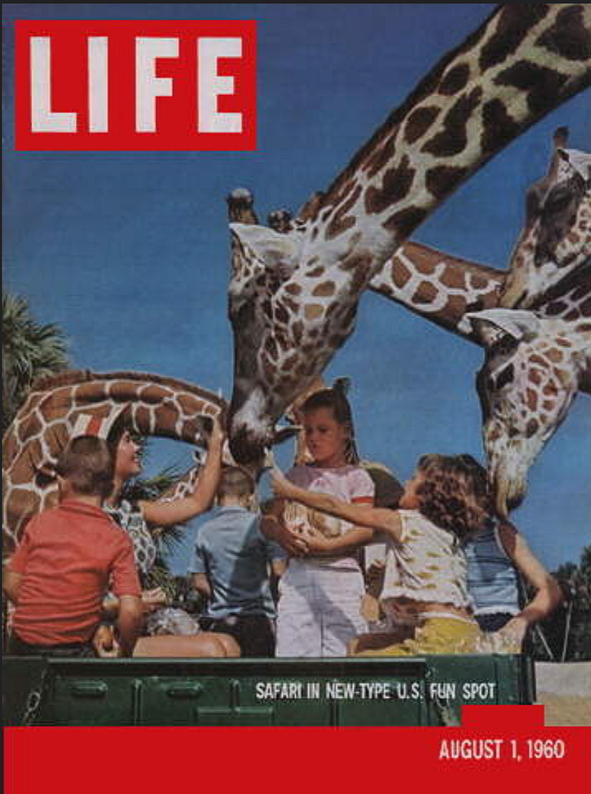 LIFE magazine cover from August 1, 1960, showing children feeding giraffes from a safari jeep at Africa U.S.A. in Boca Raton