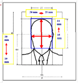Greece passport photo specification