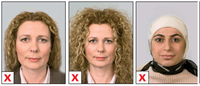 Netherlands (Holland) passport photo specification