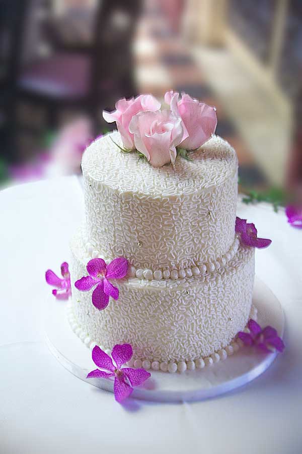 Singer Addison Boca Raton Wedding — wedding photo 4 by Lloyd's Studio
