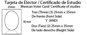 Mexico passport photo specification