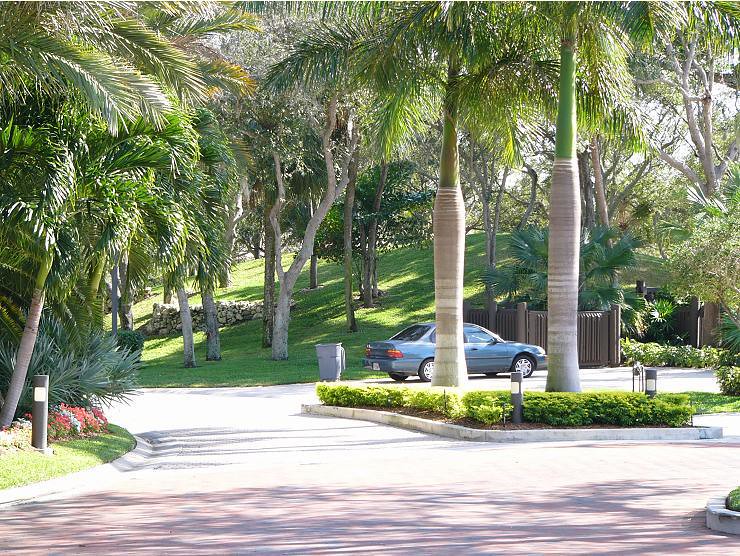 Depiction of the ancient village near the Barnhill Mound in Boca Raton with Native American figures
